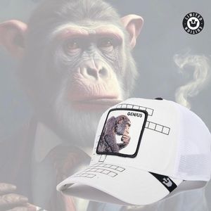 Goorin Bros -“Genius” Limited Circulation